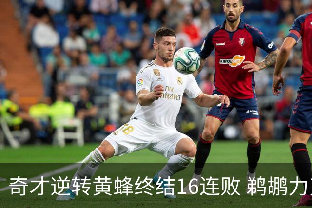 奇才逆转黄蜂终结16连败 鹈鹕力克76人3连胜
